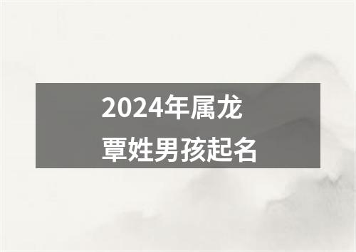 2024年属龙覃姓男孩起名