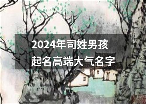 2024年司姓男孩起名高端大气名字