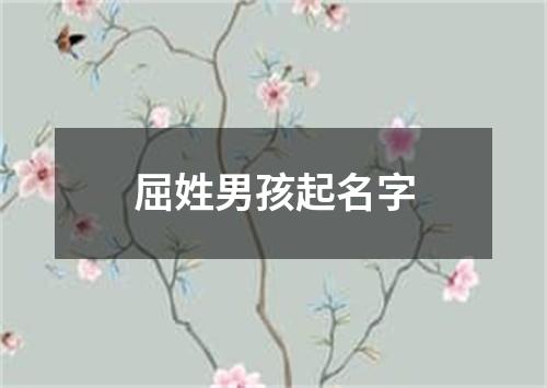 屈姓男孩起名字