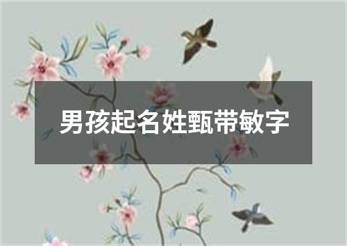 男孩起名姓甄带敏字