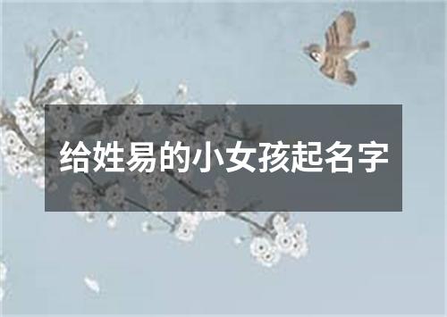 给姓易的小女孩起名字