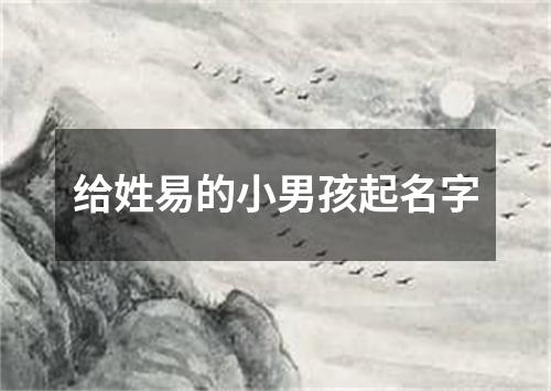 给姓易的小男孩起名字