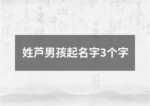 姓芦男孩起名字3个字