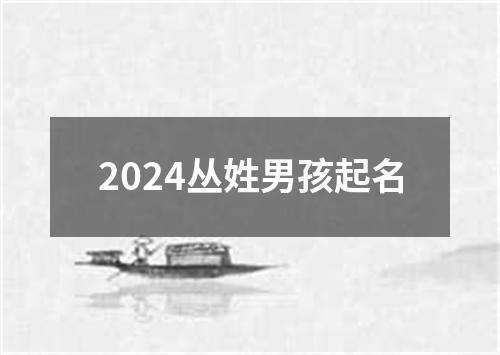 2024丛姓男孩起名