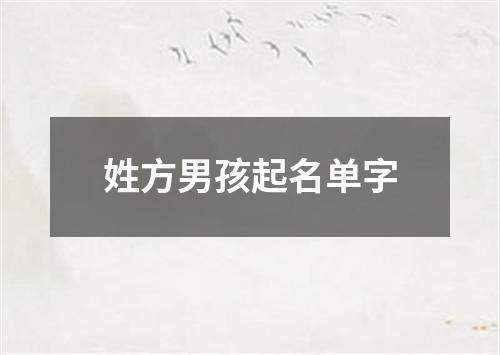 姓方男孩起名单字