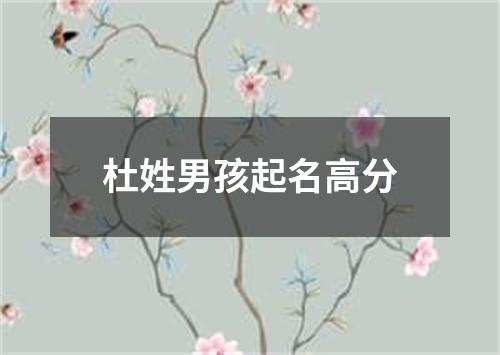 杜姓男孩起名高分