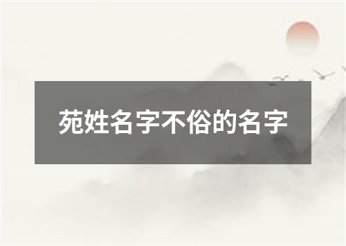 苑姓名字不俗的名字