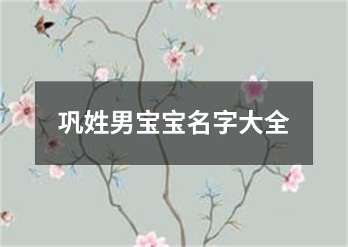 巩姓男宝宝名字大全