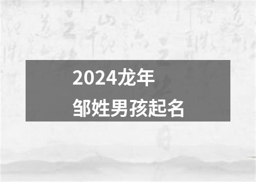 2024龙年邹姓男孩起名