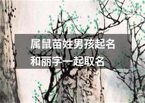 属鼠苗姓男孩起名和丽字一起取名