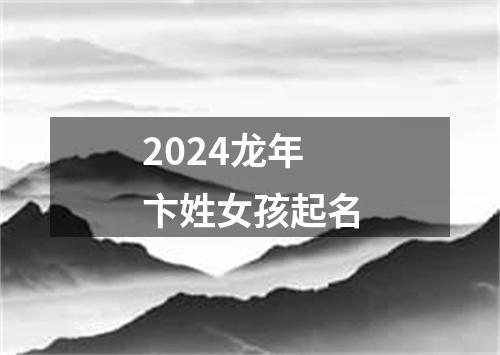 2024龙年卞姓女孩起名