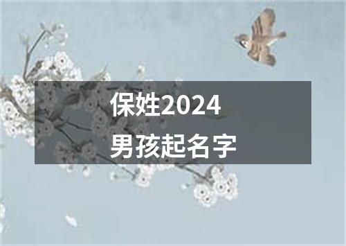 保姓2024男孩起名字