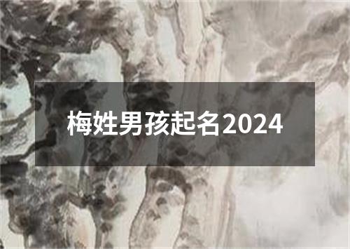 梅姓男孩起名2024