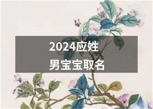 2024应姓男宝宝取名