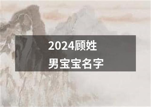 2024顾姓男宝宝名字