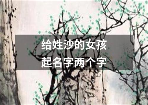 给姓沙的女孩起名字两个字