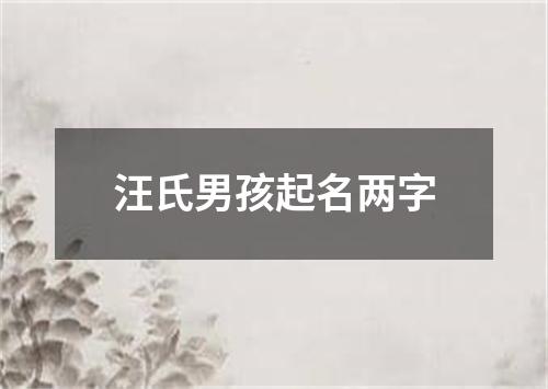 汪氏男孩起名两字