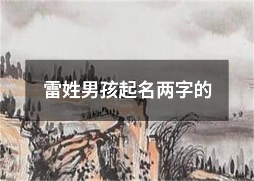 雷姓男孩起名两字的