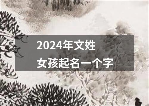 2024年文姓女孩起名一个字