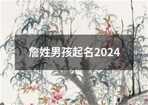 詹姓男孩起名2024