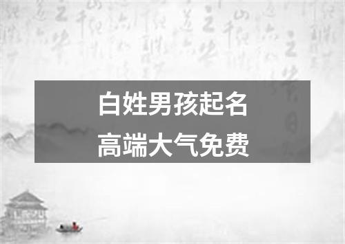 白姓男孩起名高端大气免费