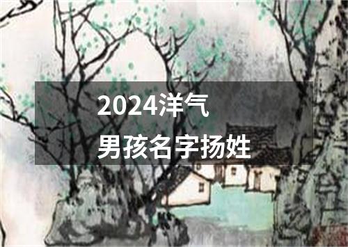 2024洋气男孩名字扬姓