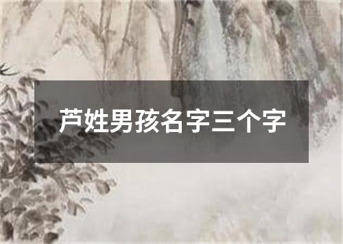 芦姓男孩名字三个字