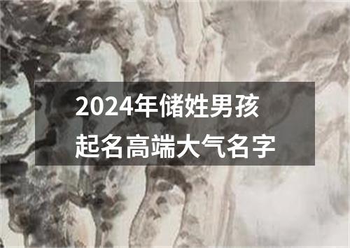 2024年储姓男孩起名高端大气名字