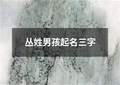 丛姓男孩起名三字