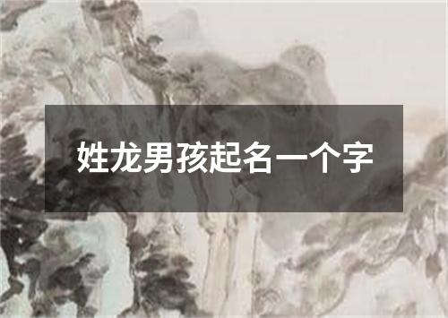 姓龙男孩起名一个字