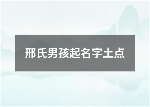 邢氏男孩起名字土点