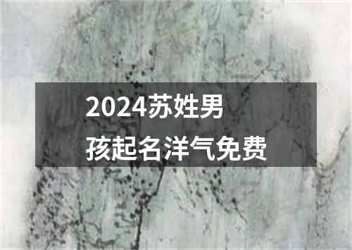 2024苏姓男孩起名洋气免费