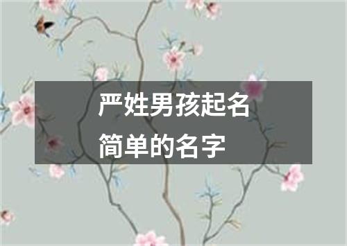 严姓男孩起名简单的名字