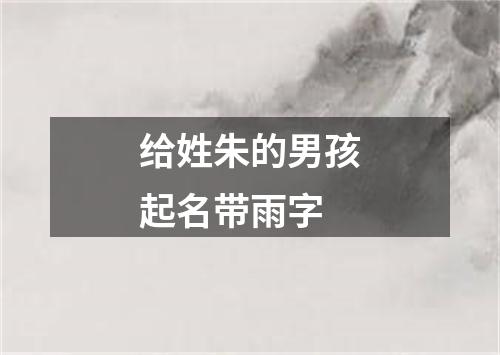 给姓朱的男孩起名带雨字