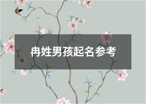 冉姓男孩起名参考