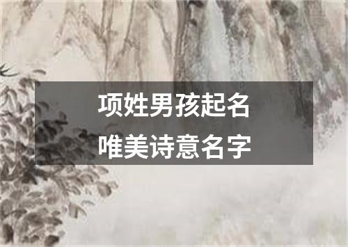 项姓男孩起名唯美诗意名字