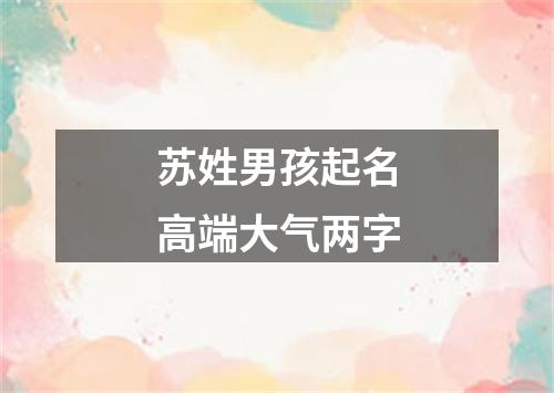 苏姓男孩起名高端大气两字