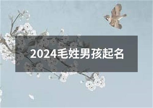 2024毛姓男孩起名