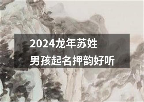 2024龙年苏姓男孩起名押韵好听