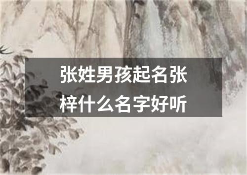 张姓男孩起名张梓什么名字好听