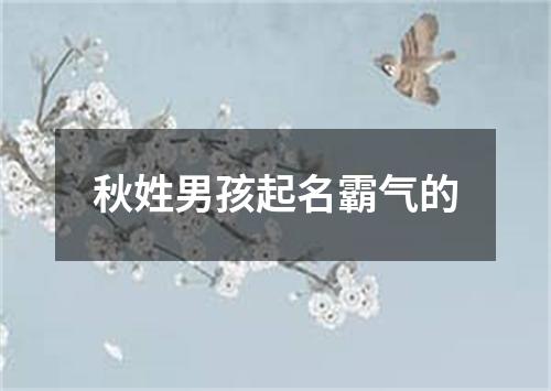 秋姓男孩起名霸气的