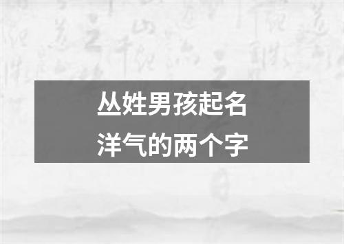 丛姓男孩起名洋气的两个字