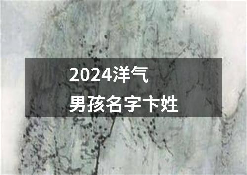 2024洋气男孩名字卞姓