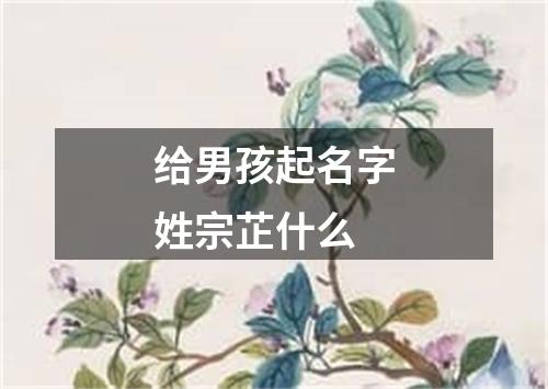 给男孩起名字姓宗芷什么