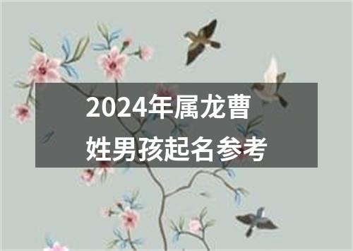 2024年属龙曹姓男孩起名参考