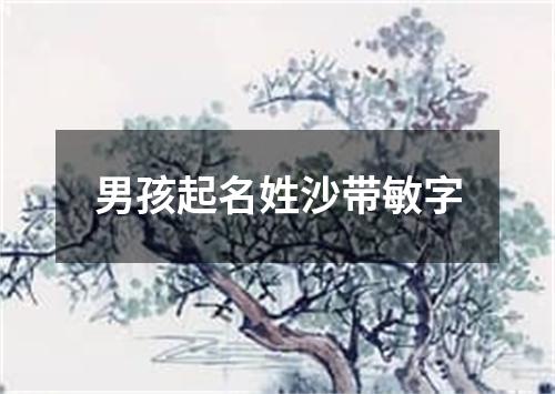 男孩起名姓沙带敏字