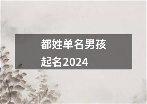 都姓单名男孩起名2024