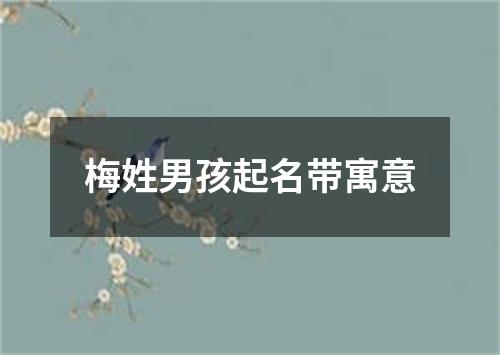 梅姓男孩起名带寓意