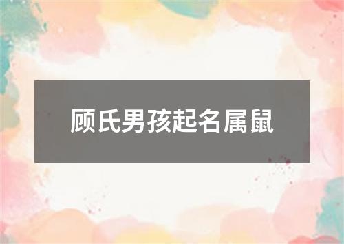 顾氏男孩起名属鼠