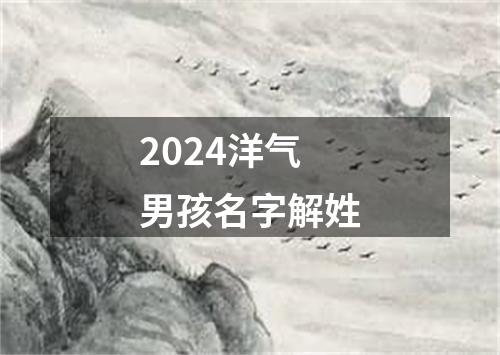 2024洋气男孩名字解姓